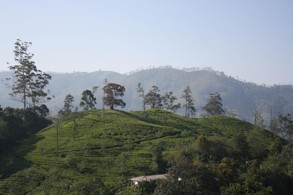 Richard Homestay Ella Esterno foto